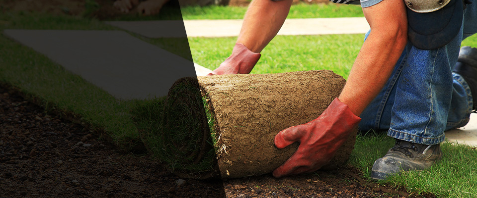 Mckinleyville Landscapers